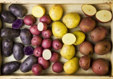 Comment choisir une variété de pomme de terre