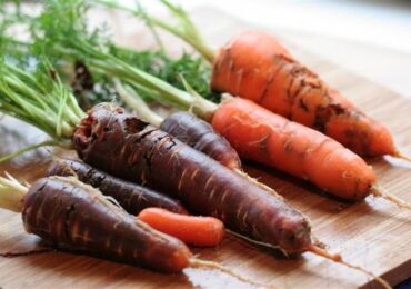 Comment se débarrasser des mouches de la carotte sans produits chimiques