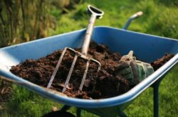 Engrais organiques: fumier, compost, humus et autres