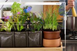 Comment faire des phytolampes pour les plantes de vos propres mains? Phytolampes LED pour plantes