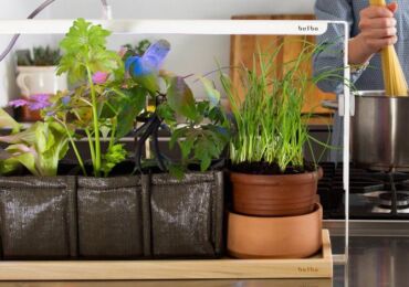 Comment faire des phytolampes pour les plantes de vos propres mains? Phytolampes LED pour plantes