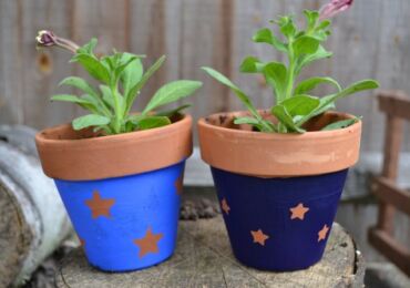 Comment choisir le bon pot pour les plantes d'intérieur?