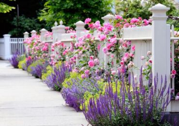 Jardin de fleurs à faire soi-même le long de la clôture, décoration de parterre de fleurs