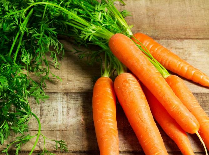 variétés de carottes à haute teneur en vitamines et en carotène
