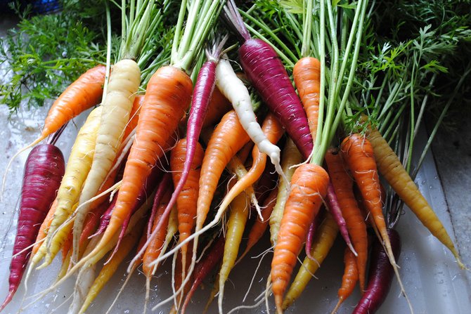 Les principales variétés de carottes