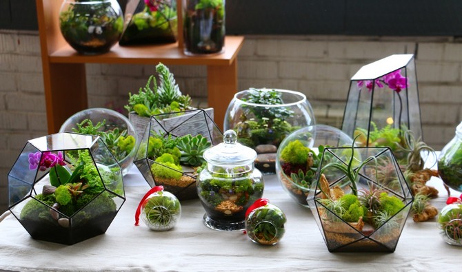Pour créer un florarium, vous avez besoin d'un récipient en verre ou en plastique.