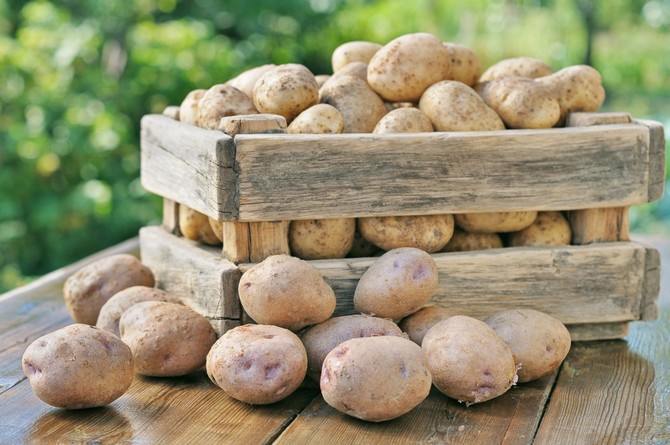 Hur man förvarar potatis i en lägenhet