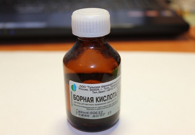 Anda boleh merangsang ovari tumbuhan dengan bantuan larutan ini: 1 gram asid borik setiap 5 liter air. Penyelesaiannya digunakan untuk penyemburan.