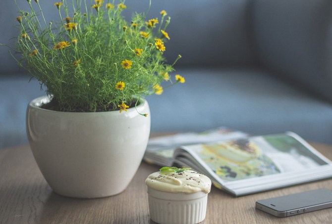 Månkalender för inomhusväxter och blommor i juni