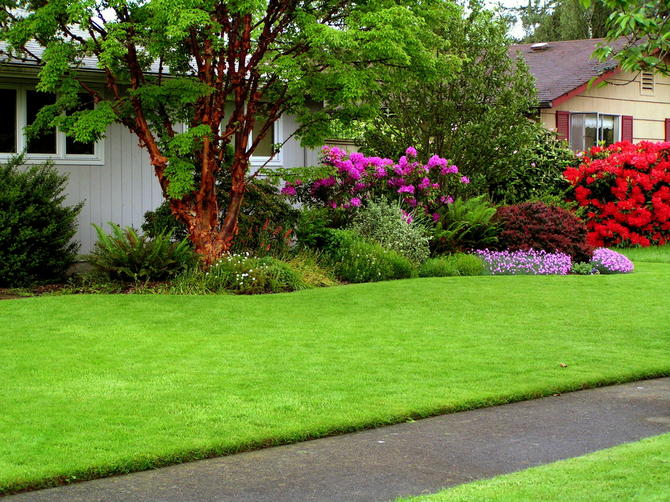 Parterre gräsmatta