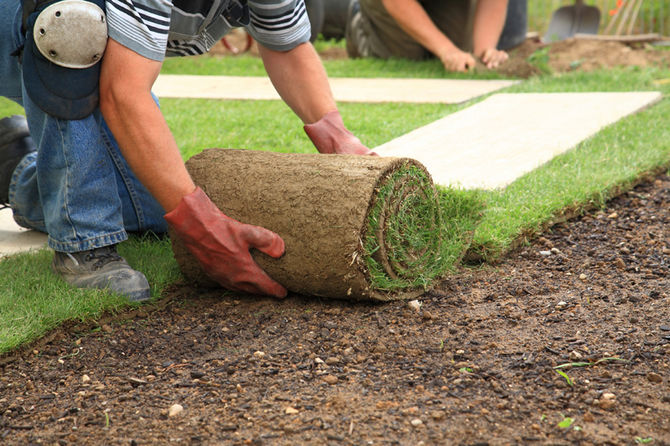 Gulung rumput