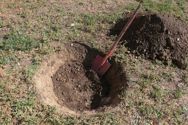 Beredning av planthål och metoder för plantering av plantor