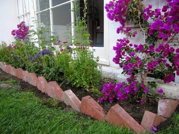 För att bryta en bandblommaträdgård på tomma områden behöver du inte spendera mycket tid och ansträngning.