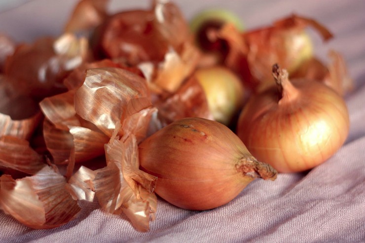 Penggunaan kulit bawang untuk tanaman dalaman